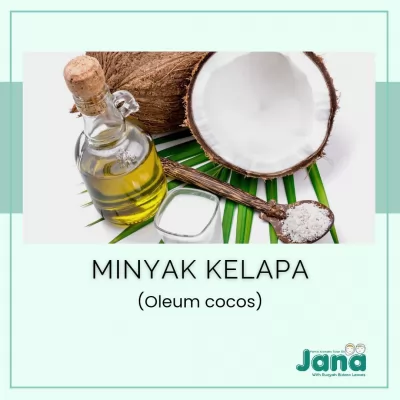 Minyak Kelapa Sejarah, Penggunaan, dan Manfaatnya yang Luar Biasa